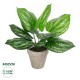 GloboStar® Artificial Garden SILVER POTHOS POTTED PLANT 20896 Διακοσμητικό Φυτό Πόθος Φ40 x Υ33cm