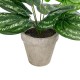 GloboStar® Artificial Garden SILVER POTHOS POTTED PLANT 20896 Διακοσμητικό Φυτό Πόθος Φ40 x Υ33cm