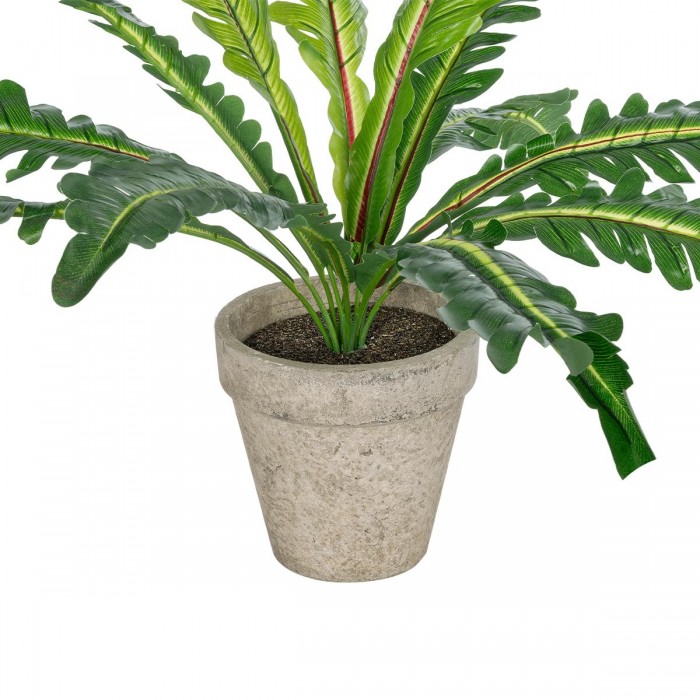 GloboStar® Artificial Garden  ASPLENIUM POTTED PLANT 20904 Διακοσμητικό Φυτό Aslenium Φ40 x Υ33cm